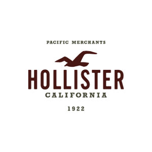 Hollister gift card